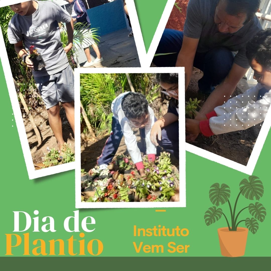 Green Garden Service Cleaning Maintenance – Instagram Post (1)
