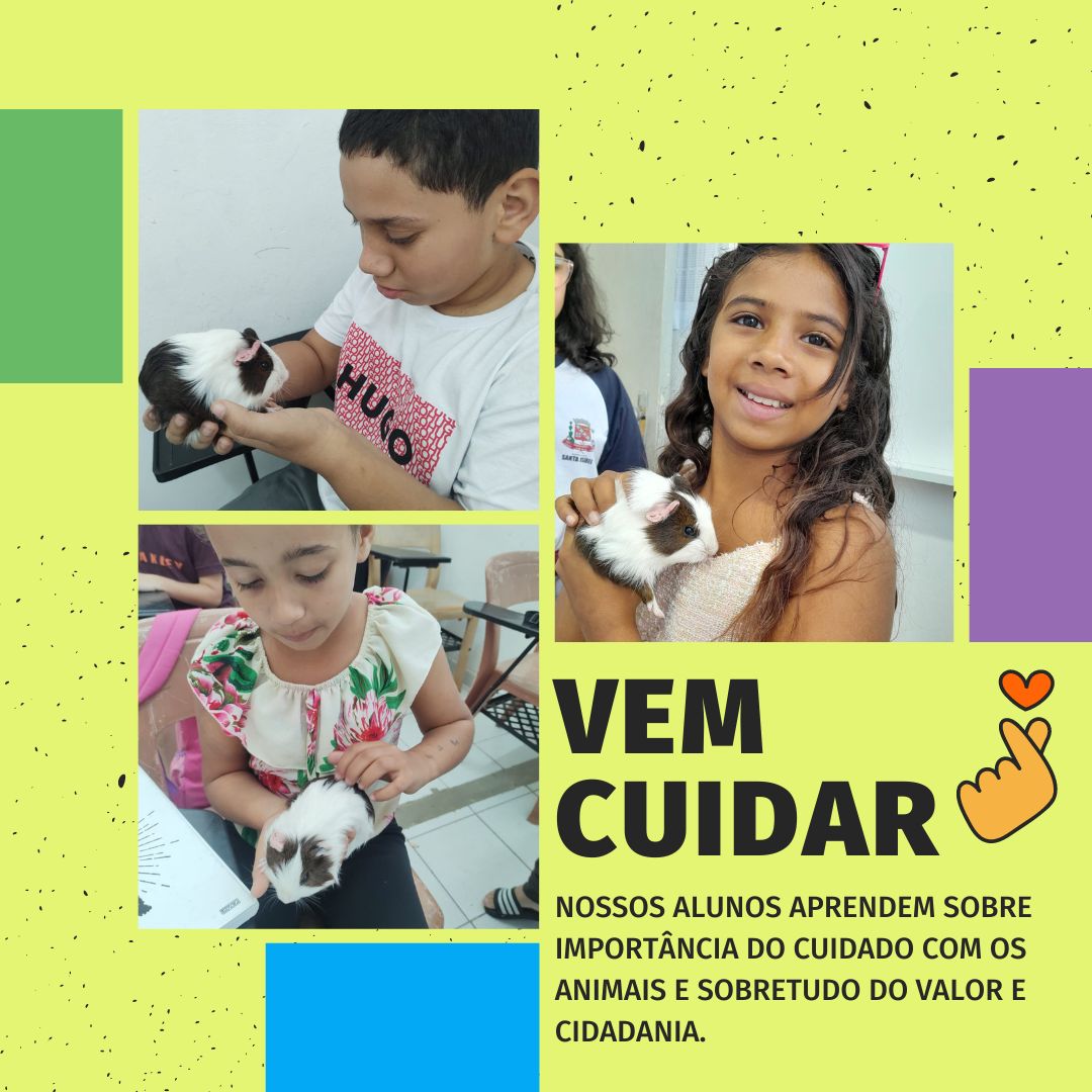 Post Instagram Adoção Responsável de Pets Cinza